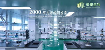 多美生物 技術(shù)賦能，實(shí)現(xiàn)“今日下單，明日出貨”的極致效率