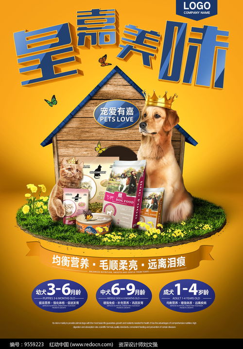 “食”刻關愛，科技賦能——寵物食品促銷與技術服務雙贏盛會